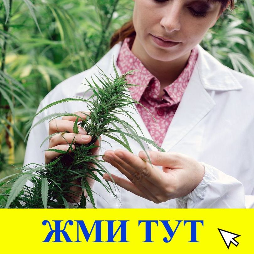 Купить наркотики в Нефтекумске